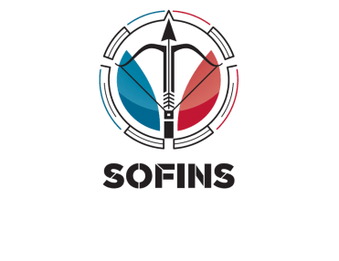 206_sofins.png